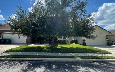 Photo of Mary K.'s yard after getting lawn care in La Vernia, TX