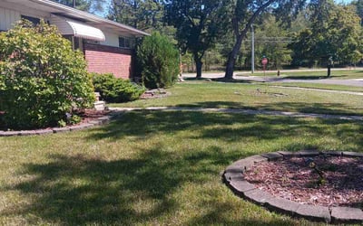Photo of Kris S.'s yard after getting lawn care in Wayne, MI