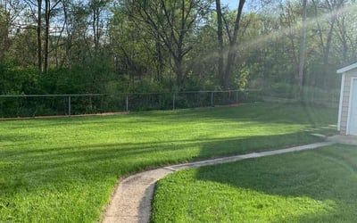 Photo of LaDonna B.'s yard after getting lawn care in Gary, IN