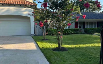 Photo of Teresa A.'s yard after getting lawn care in Bellaire, TX