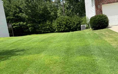 Photo of Noelle D.'s yard after getting lawn care in Somerville, MA