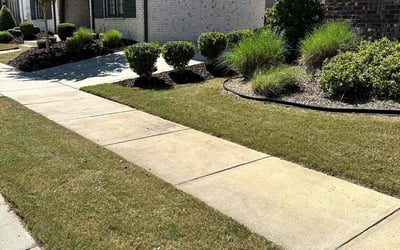 Photo of Brian K.'s yard after getting lawn care in Helena, AL