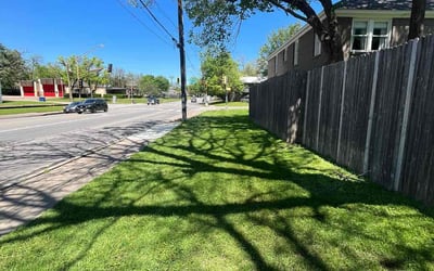Photo of Michelle H.'s yard after getting lawn care in Wilton, CT