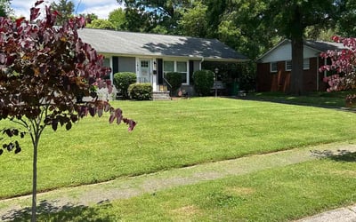 Photo of Tiffany C.'s yard after getting lawn care in Indian Trail, NC
