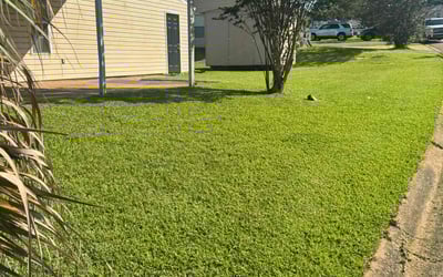 Photo of Andrea W.'s yard after getting lawn care in Fresno, CA