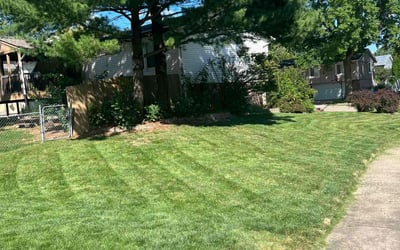 Photo of Marsha C.'s yard after getting lawn care in Davenport, IA