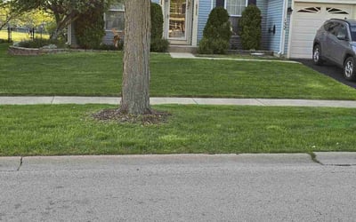 Photo of John S.'s yard after getting lawn care in Streamwood, IL