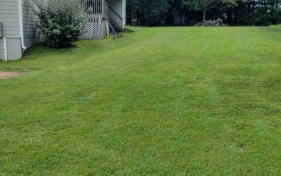 Photo of Denetra F.'s yard after getting lawn care in Loganville, GA
