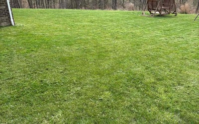 Photo of Jeff T.'s yard after getting lawn care in Valencia, PA