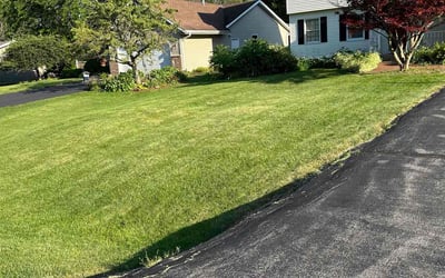 Photo of Kelly S.'s yard after getting lawn care in Racine, WI