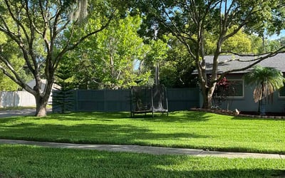 Photo of Antoan G.'s yard after getting lawn care in Cutler Bay, FL