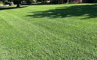 Photo of Angel J.'s yard after getting lawn care in Egg Harbor Township, NJ