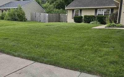 Photo of Derrick L.'s yard after getting lawn care in Warrenville, IL