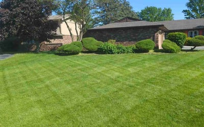 Photo of Paul E.'s yard after getting lawn care in Ellicott City, MD