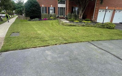 Photo of Tim S.'s yard after getting lawn care in Cranberry Twp, PA