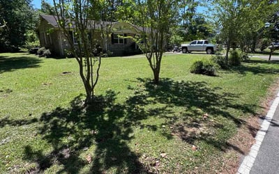 Photo of Maria B.'s yard after getting lawn care in Conway, SC