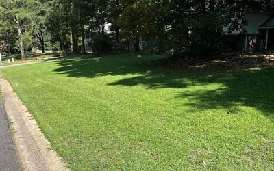 Photo of Liz -.'s yard after getting lawn care in Fayetteville, GA