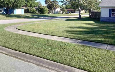 Photo of Jessica C.'s yard after getting lawn care in Port Orange, FL