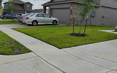 Photo of Jennifer R.'s yard after getting lawn care in Houston, TX