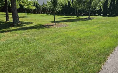 Photo of Benjamin B.'s yard after getting lawn care in Haverhill, MA