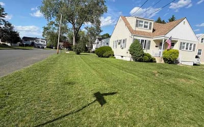 Photo of Abriana N.'s yard after getting lawn care in Lexington, MA
