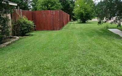 Photo of Britney S.'s yard after getting lawn care in Powell, TN