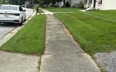 Photo of Cody M.'s yard after getting lawn care in Sand Springs, OK