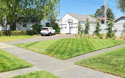 Photo of Patrick M.'s yard after getting lawn care in Tacoma, WA