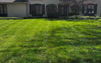 Photo of Scott S.'s yard after getting lawn care in Zionsville, IN