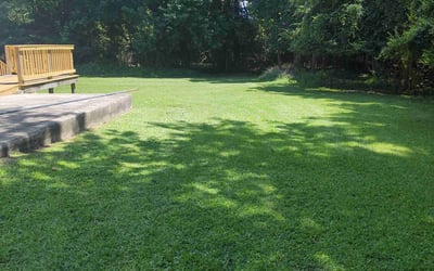 Photo of James C.'s yard after getting lawn care in Lehi, UT