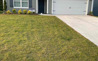 Photo of Amanda D.'s yard after getting lawn care in Pell City, AL