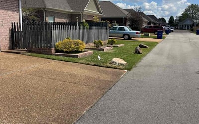 Photo of Tremaine E.'s yard after getting lawn care in Olive Branch, MS
