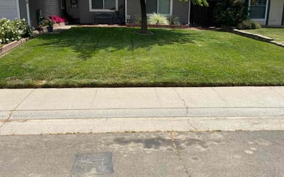 Photo of Antonio W.'s yard after getting lawn care in Boston, MA