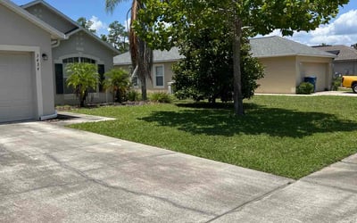 Photo of Burton B.'s yard after getting lawn care in Deland, FL