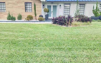 Photo of Connie P.'s yard after getting lawn care in North Miami Beach, FL