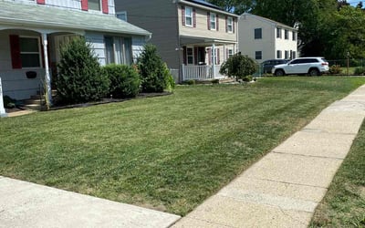 Photo of Peter B.'s yard after getting lawn care in West Deptford, NJ