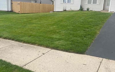 Photo of Ann C.'s yard after getting lawn care in Belvidere, IL