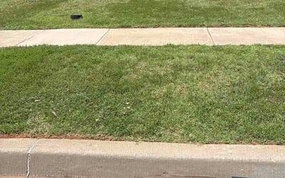 Photo of Cherie M.'s yard after getting lawn care in Roseville, MI