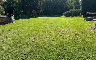 Photo of Sandra C.'s yard after getting lawn care in Joliet, IL
