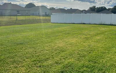Photo of Eric F.'s yard after getting lawn care in Laveen, AZ