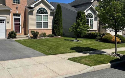 Photo of Aden H.'s yard after getting lawn care in Bayville, NJ
