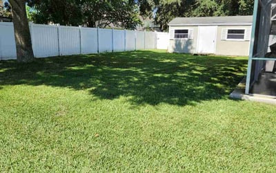 Photo of Jessica L.'s yard after getting lawn care in Leesburg, FL