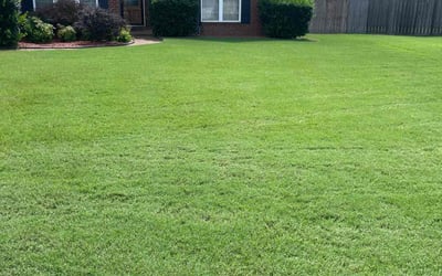 Photo of Deidre T.'s yard after getting lawn care in Cordova, TN