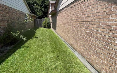 Photo of Debbie M.'s yard after getting lawn care in Donna, TX