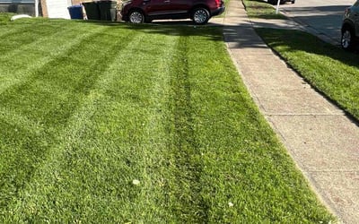 Photo of Mary M.'s yard after getting lawn care in Galloway, OH