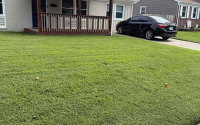 Photo of Joanna C.'s yard after getting lawn care in Marion, AR