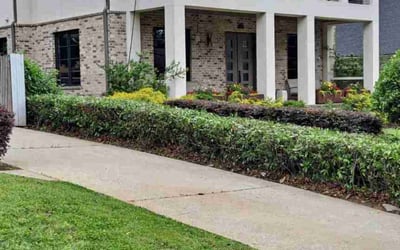 Photo of Aiyana G.'s yard after getting lawn care in Montgomery, TX