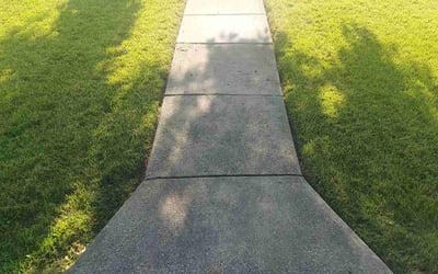 Photo of Deno D.'s yard after getting lawn care in Chicago Ridge, IL