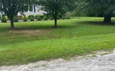 Photo of Mary S.'s yard after getting lawn care in Apex, NC