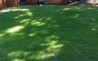 Photo of Lizbeth P.'s yard after getting lawn care in Austell, GA
